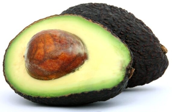 AVACADO ONLINE SHOP