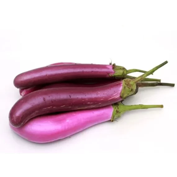 brinjal purple long