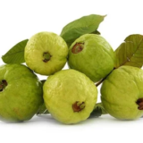 guava