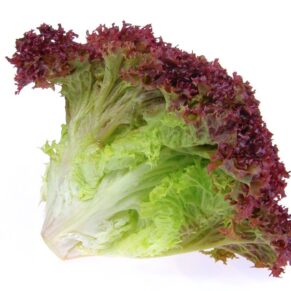 red lettuce