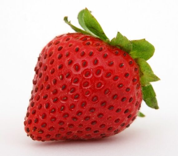 STRAWBERRY -ONLINE SHOP