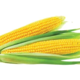 sweetcorn