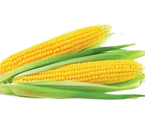 sweetcorn