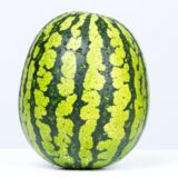 watermelon-ONLINE SHOP