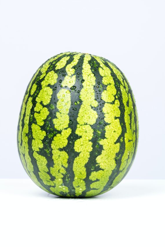 watermelon-ONLINE SHOP